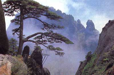 上海房产抵押贷款公司_上海押房贷款_上海市正规靠谱的房屋抵押贷款公司